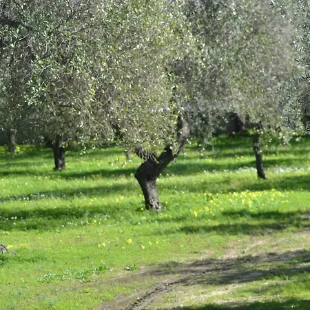 Country house Casa Masia Alghero